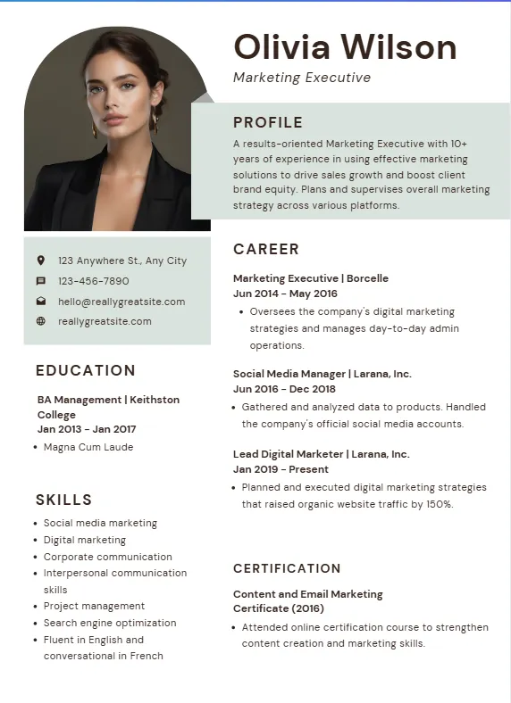Executive CV Design 2